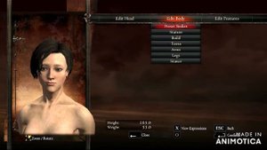 Dragon's Dogma : Dark Arisen - Main Pawn romance mod - Complete Sexy Character creation guide (18+)