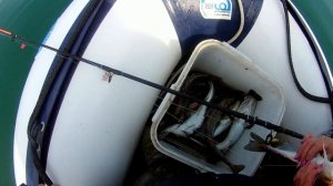 Рыбалка на море, ловля минтая в бухте Авангард.  Приморский край.