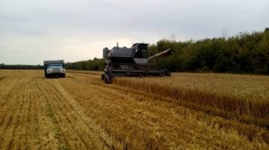 Нива эффект. 4 августа 2022 г.