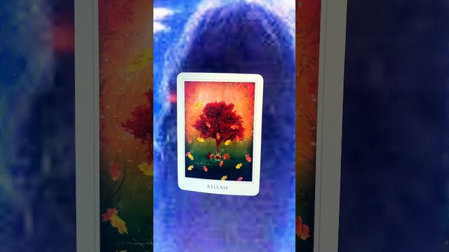 Release:#oracle #short #breath #daily #tarot #focus #relax