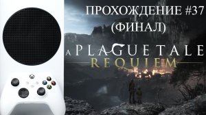 ? A PLAGUE TALE REQUIEM | XBOX SERIES S | ПРОХОЖДЕНИЕ 37 (ФИНАЛ)