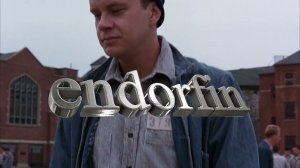 endorfin Терминахер