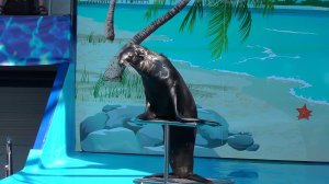 Сочи-парк сентябрь 2015