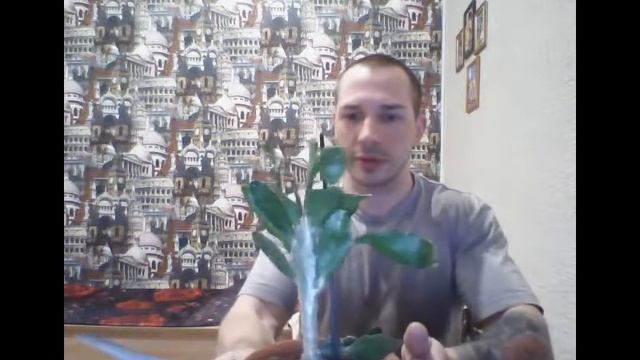 обрезаем сакуленты и кактусы смотреть онлайн