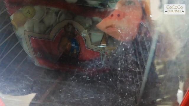 На концерте Елены Степаненко в Крыму