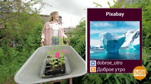 Отпустите меня в Антарктиду! Доброе утро. Суббота. Фрагмент выпуска от 06.06.2020