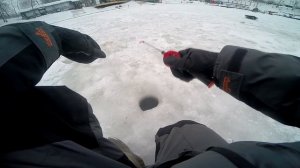 Ловля форели со льда в КРХ Савельево-2 или в поисках рыбы 29.12.2016