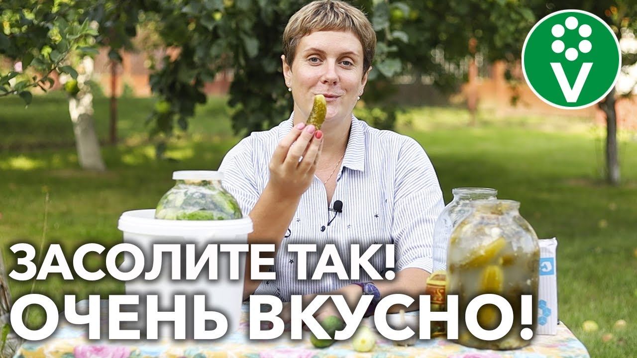 ПРОВЕРЕННЫЙ РЕЦЕПТ ХРУСТЯЩИХ ОГУРЧИКОВ! Вам понравится — рекомендуем!