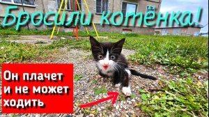 ? Котёнок полз по детской площадке и просил помощи у прохожих / выкинули? /help save the kitten