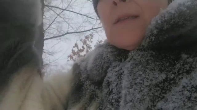 Как найти себя? Размышления на прогулке в зимнему лесу. смотреть онлайн