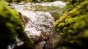 Sirotullo Raupov - Yasin Surasi | Сиротулло Раупов - Ёсин Сураси