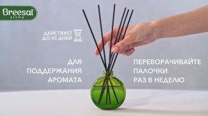 Ароматический диффузор Breesal Aromatherapy Антистресс