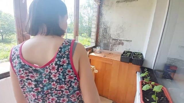 Кто-то облил окно кефиром ??/Уборка на балконе-лоджии?/ Помыла окна ? смотреть онлайн