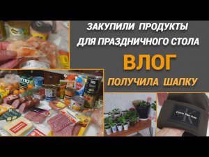 ВЛОГ/Что купила для праздничного стола/Покрасила волосы/ Получила шапку@SubTatiana