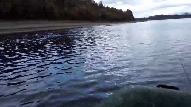 Лодка Аква 2600 мотор 5 лс Toyama . Пушка комплект смотреть онлайн