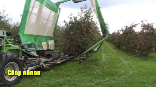 Самые необычные машины для сбора урожая ягод, фруктов и овощей