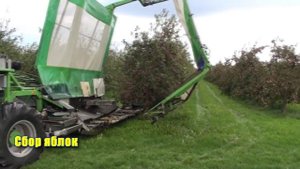 Самые необычные машины для сбора урожая ягод, фруктов и овощей