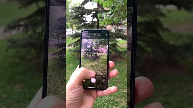 TOP 5 Причин купить IPhone 12 в 2022 году! смотреть онлайн