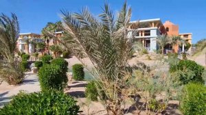 Sheraton Miramar Resort El Gouna, обзор 2020-2021. Как работает отель после пандемии.