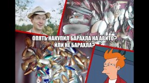 Опять накупил барахла на Авито? Или не барахла?