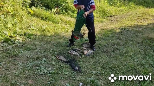 05.08.2022 г. С Вадимом на рыбалке. Речка Нейва. смотреть онлайн