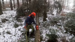 Chainsaw Husqvarna 357 XP