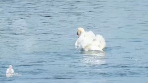 Юрий Антонов - Дай мне руку.