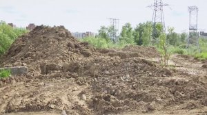 Ущерб озеру Спартак в Новосибирске оценили в сумму более 2 млн рублей