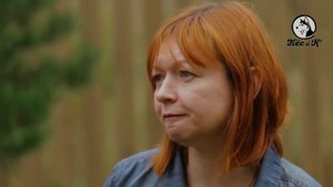 Такая порода. Ирландский сеттер