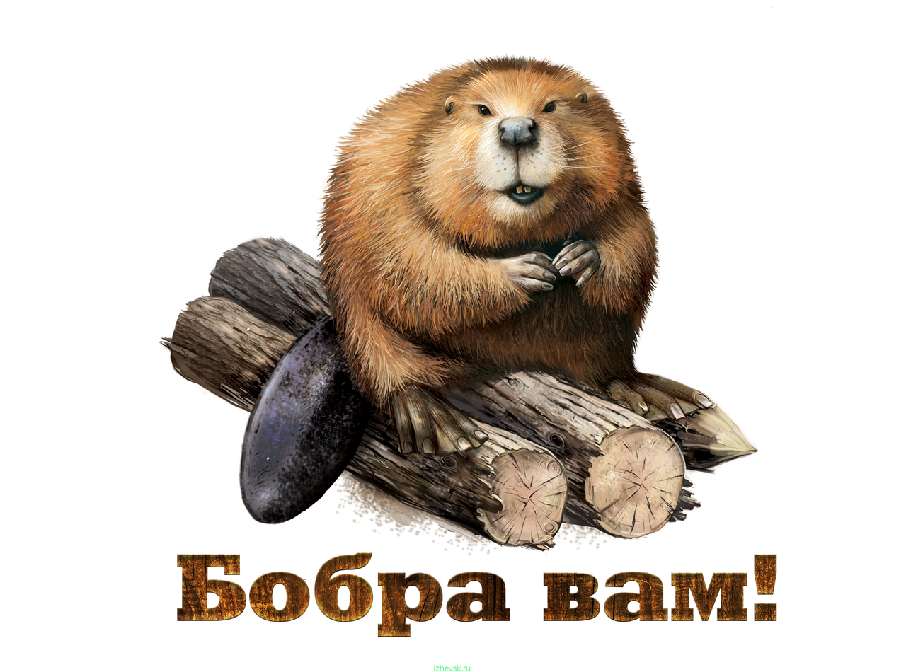#копчение дикого мяса