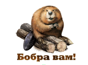 #копчение дикого мяса