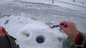 Бешеный клёв окуня | Эта безмотылка сделала мой день | Окунь на мормышку