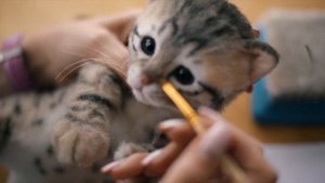 Как происходят чудеса и рождаются больше чем игрушки