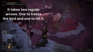 Elden Ring- PC Mohgwyn Bird Rune Farm Macro