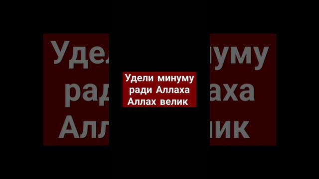 улели минуту ради Аллаха Аллах велик Аллаху Акбар МаШа Аллах #аллахуакбар #коран #рекомендации