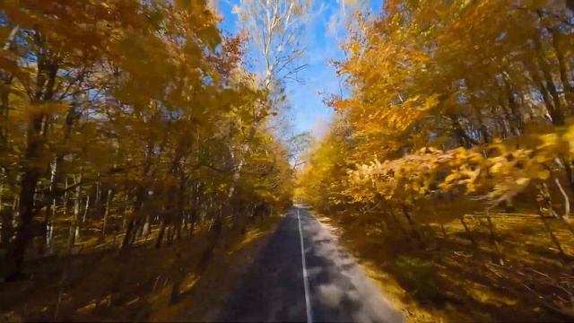 Нежная музыка, успокойся нервной системы - терапевтическая музыка для сердца и кровеносных сосудов смотреть онлайн