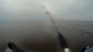 Как ловим камбалу и не только. Рыбалка на Белое море.