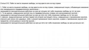 Статья 313 УК РФ. Побег из места лишения свободы, из-под ареста или из-под стражи