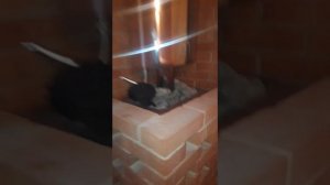 ПРОЕКТ БАНИ 4 на 4 МЕТРОВ.