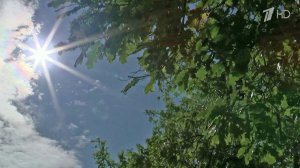 С приходом сентября в Россию держится теплая погода, но температуры уже не летние