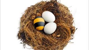 Звонок в абонентскую службу БИЛАЙН