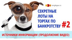 Поиск скрытых лотов на аукционах по банкротству