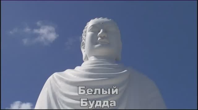 Ни кого кроме кошки
