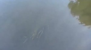 Оборудование добычи и промывки речного песка