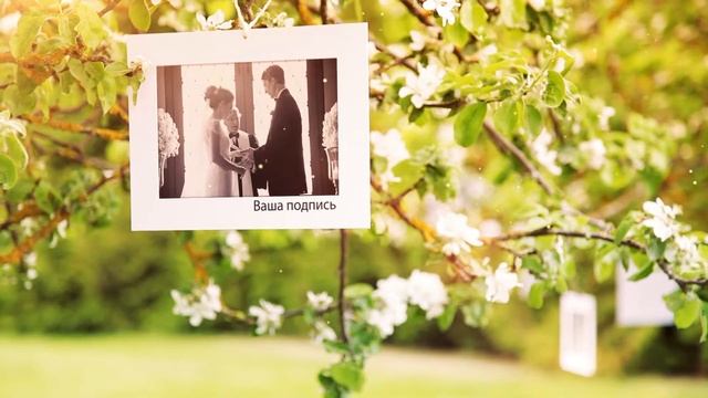 Семейное дерево смотреть онлайн