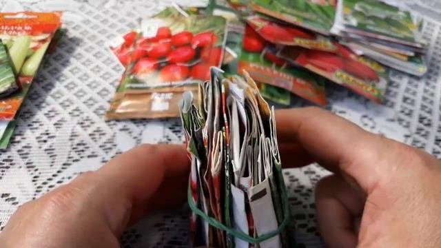 Что можно  посеять в июне!Огород круглый год!