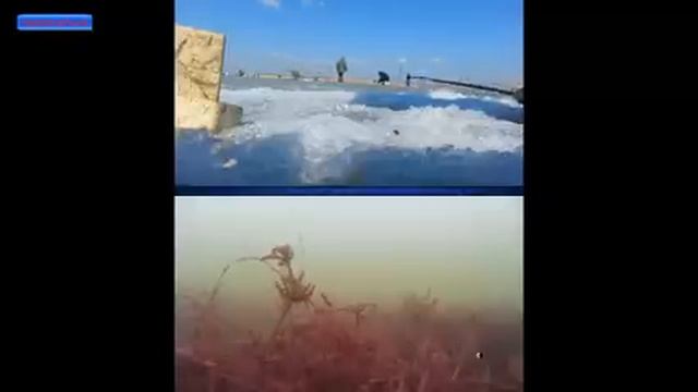 карась свирепствует. онлайн рыбалка со льда на секретную снасть! смотреть онлайн