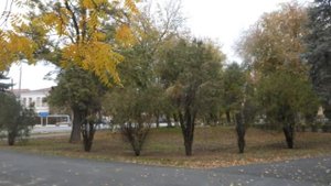 Верхний парк города Зеленокумска