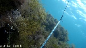 Подводная охота Новороссийск. Черное море. Осень 2015 г.Black sea spearfishing Russia