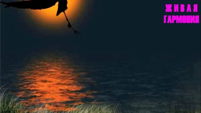 Секреты медитации. Какой вид подходит лучше Вам?/саморазвитие, эзотерика, практика.